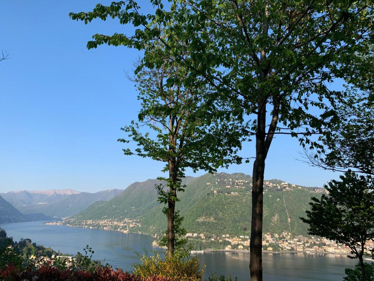 Villa Corti Côme Esterno foto