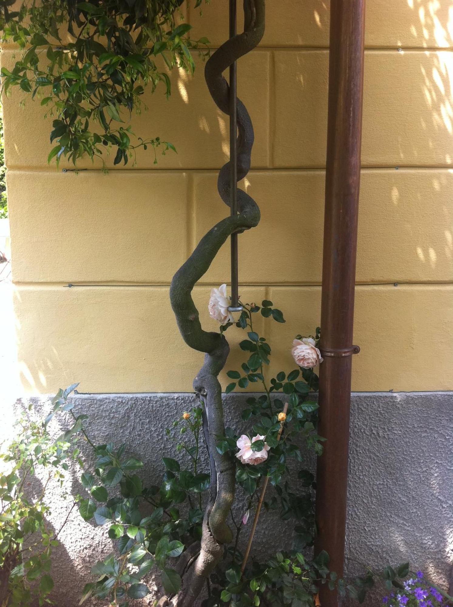 Villa Corti Côme Esterno foto